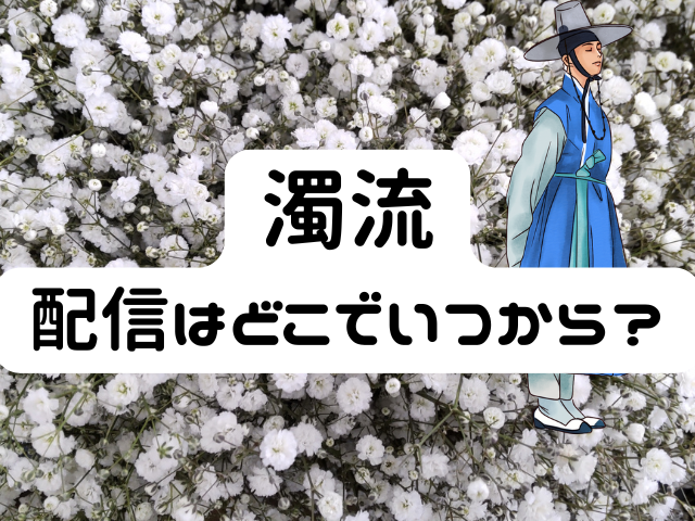 韓ドラ　濁流　配信